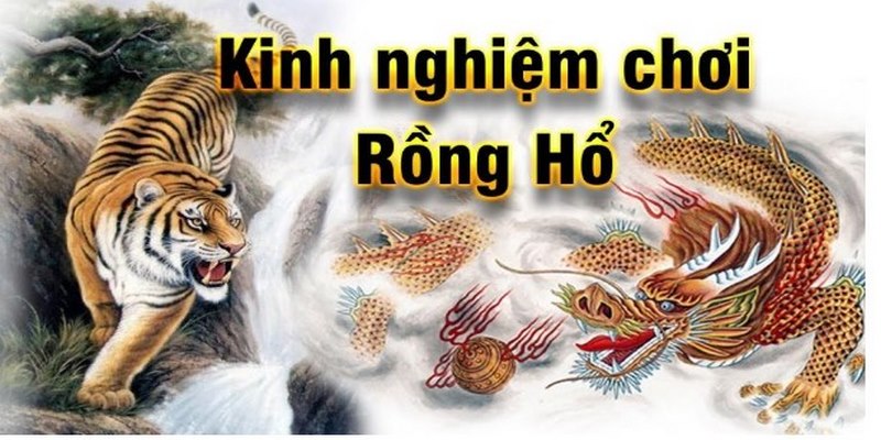 Những kinh nghiệm chơi Rồng Hổ chắc thắng